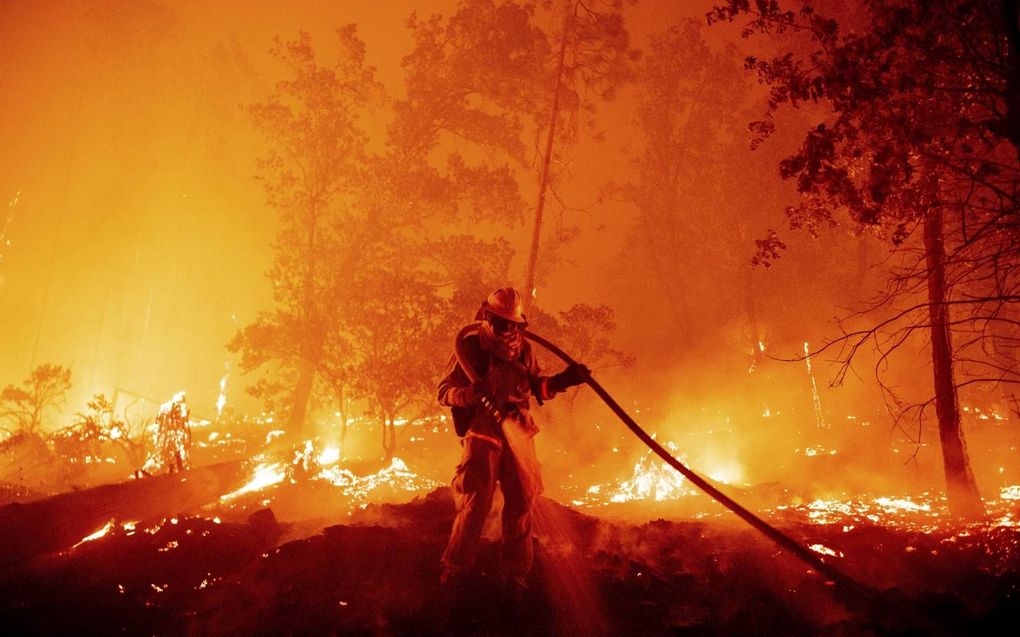 In augustus 2020 meldde de Amerikaanse staat Californië er meer dan 7.000 natuurbranden. beeld​ AFP, Josh Delson