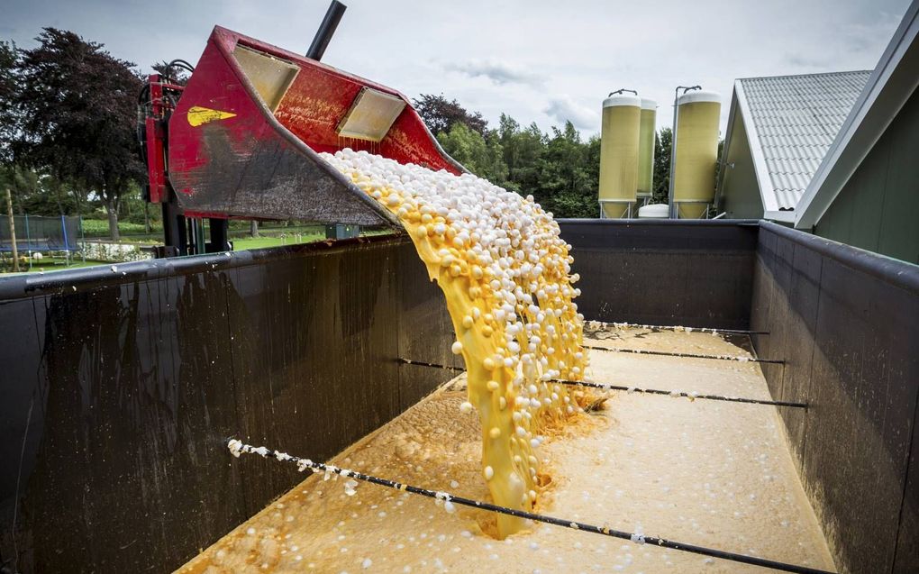 Op last van de Nederlandse Voedsel- en Warenautoriteit (NVWA) werden in 2017 miljarden eieren vernietigd vanwege fipronil. beeld ANP, Patrick Huisman