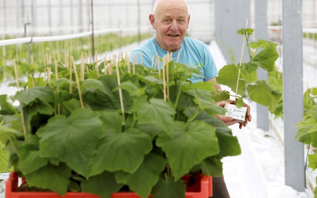 Cor Batterink helpt tuinders in zijn omgeving een handje, maar laat het salaris overmaken naar goede doelen. beeld VidiPhoto