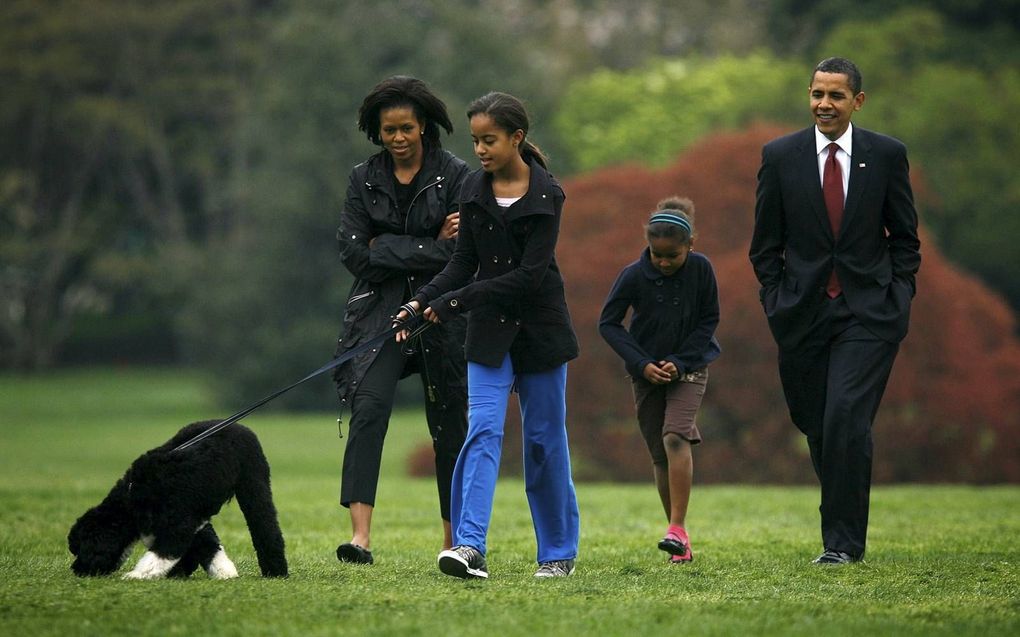 Een blokje om met de hond is er voor de president van de Verenigde Staten en zijn gezin niet bij; altijd moeten er beveiligers mee. Vrijelijk bewegen kan de presidentiële familie zich alleen in de tuin van het Witte Huis. Zoals de Obama’s met hond Bo in 2009. beeld Reuters, Larry Downing