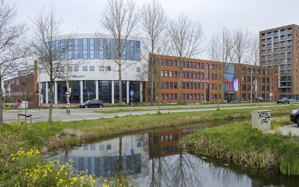 Pabostudenten van de Driestar in Gouda (foto) gaan assisteren op scholen in de stad. beeld RD, Sjaak Verboom