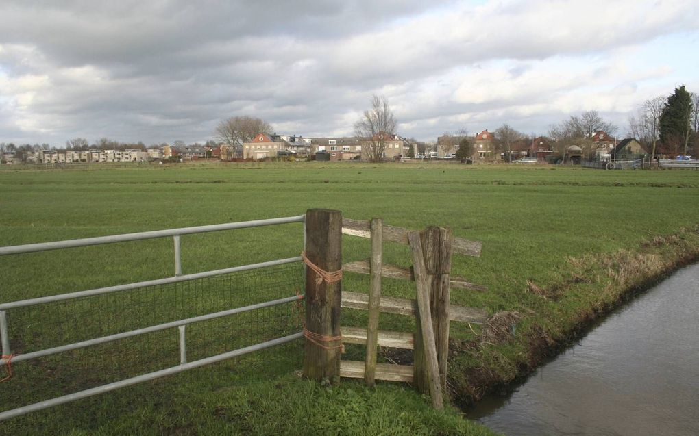 Geen van de drie mogelijke locaties voor de opvang van asielzoekers in Vijfheerenlanden voldoet aan de eisen van het COA. Foto: het weiland in Leerdam-Noord waar mogelijk opvangunits komen. beeld André Bijl