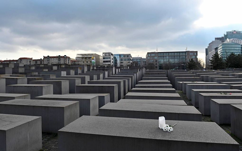 Witte bloemen woensdag op een van de 2711 stenen die samen het Holocaustmonument in Berlijn vormen. Woensdag was het 76 jaar geleden dat het Russische Rode leger concentratiekamp Auschwitz bevrijdde. Het deputaatschap voor Israël van de Gereformeerde Gemeenten belegde in het kader van de Holocaustherdenkingsdag een onlineuitzending over antisemitisme. beeld AFP, Tobias Schwarz