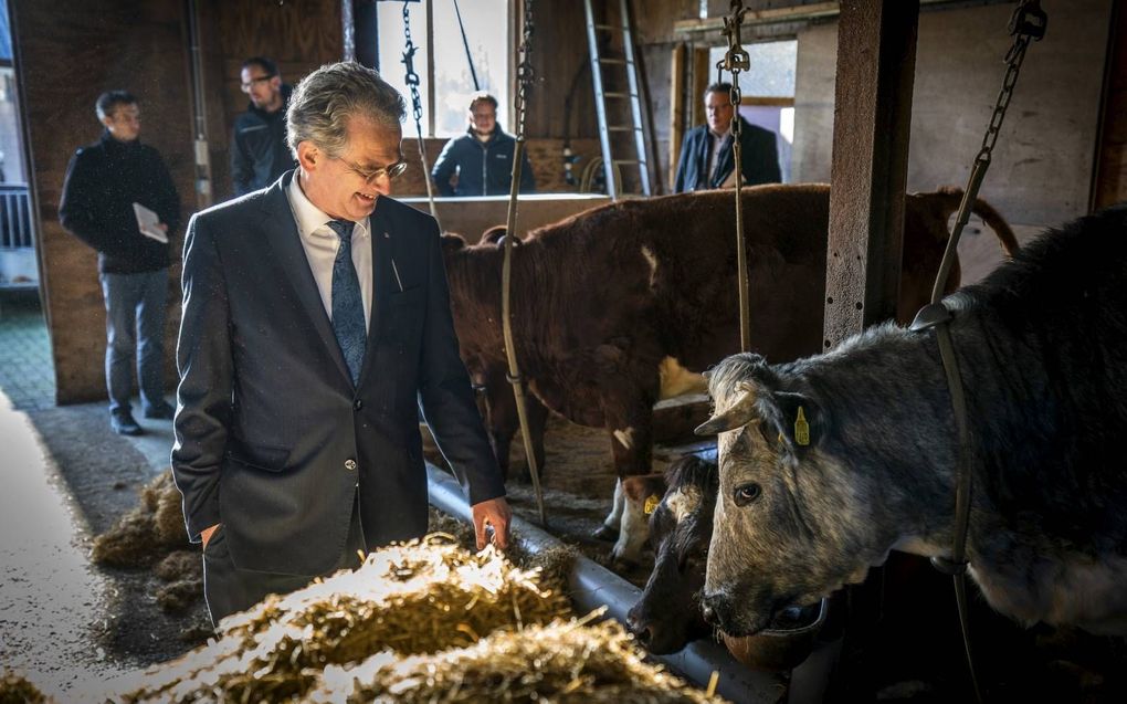 De stikstofwet ligt gevoelig in de SGP. Kamerlid Bisschop sloot een deal met fracties en minister Schouten. beeld ANP, Jeroen Jumelet