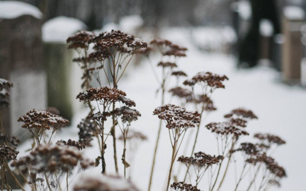 „Rouwenden doen er goed aan mild voor zichzelf te zijn en niets te forceren.” beeld iStock