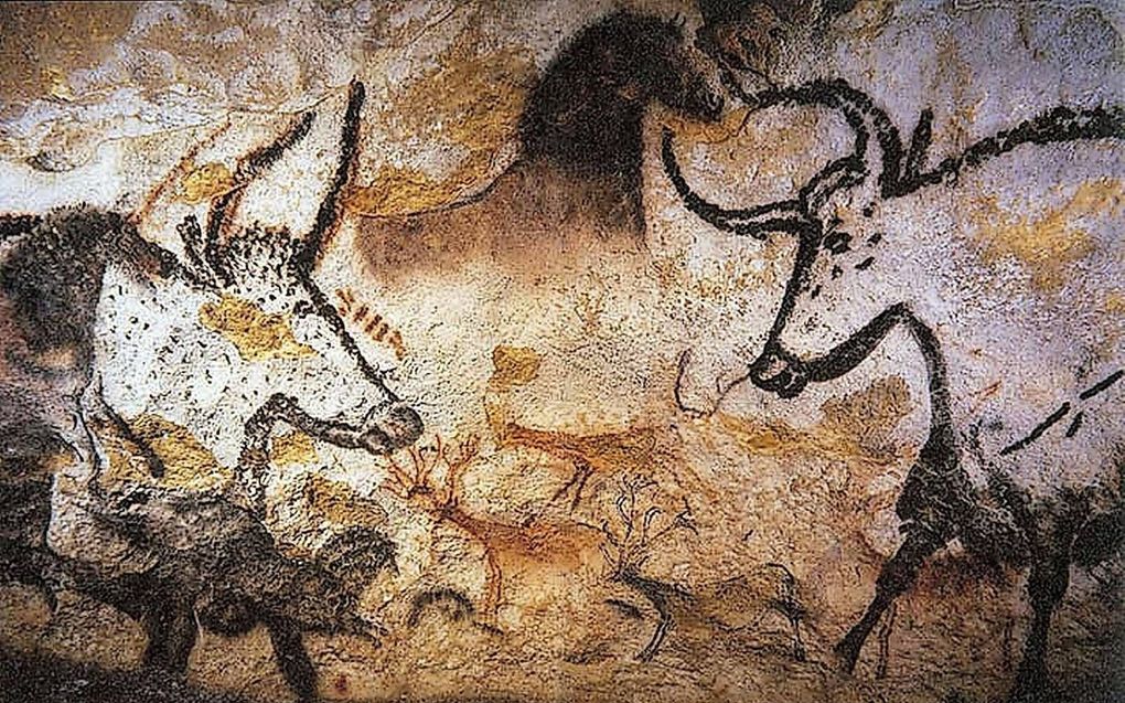 Jager-verzamelaars beeldden verschillende dieren af in de grotten van Lascaux in Frankrijk. beeld Wikipedia, Prof saxx