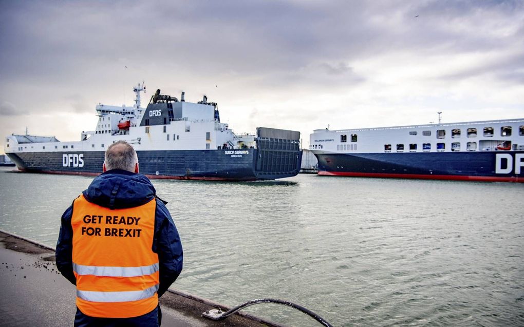 Ferry terminal van DFDS in de haven van Rotterdam. beeld ANP, Robin Utrecht