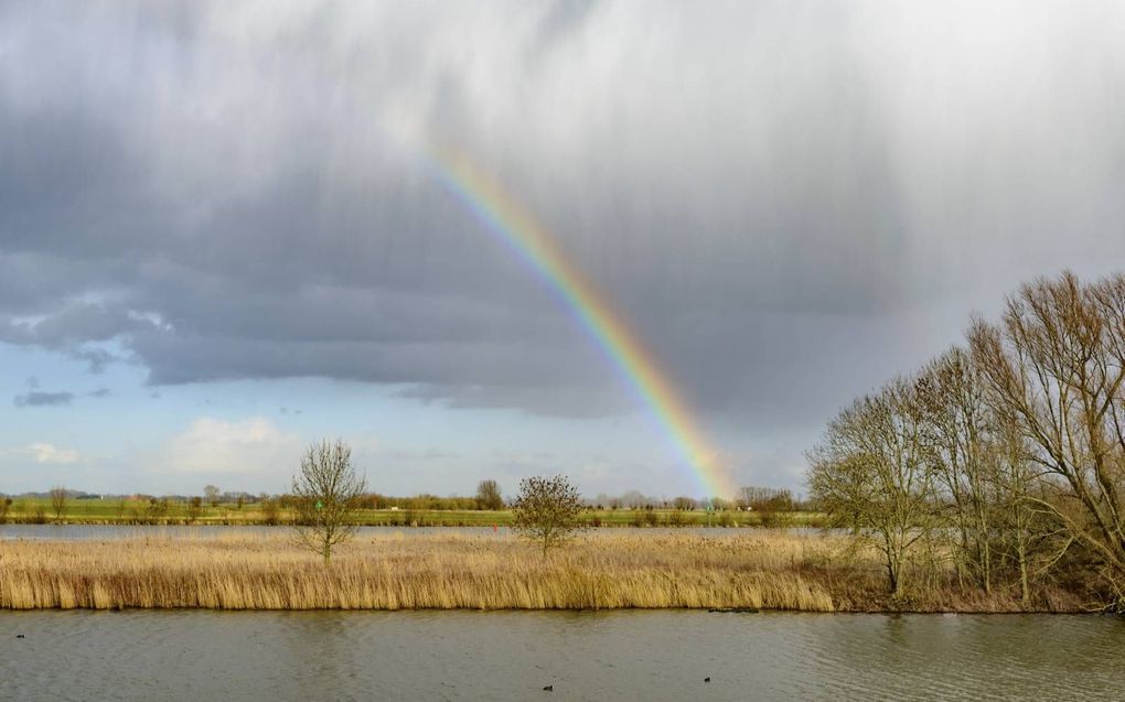 Luther schreef: „Gods Woord en genade is een overtrekkende regenbui en keert niet terug waar het eens geweest is.” beeld iStock