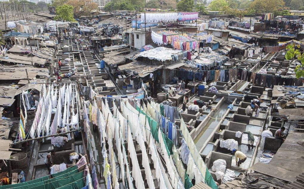 Openluchtwasserij Dhobi Ghat in India. beeld Sjaak Verboom