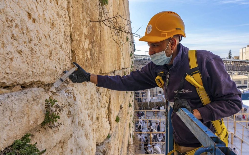 Specialisten hebben de Westelijke Muur in Jeruzalem gerestaureerd. beeld Israelische Oudheidkundige Dienst, Yaniv Berman