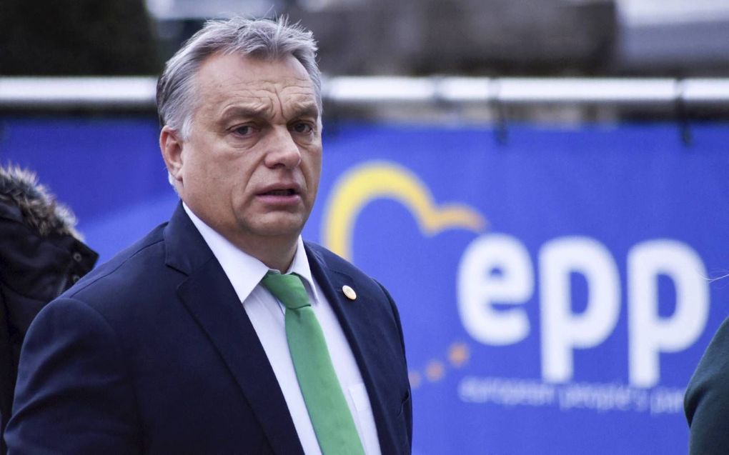 Viktor Orban bij een EVP-bijeenkomst. beeld AFP, Riccardo Pareggiani