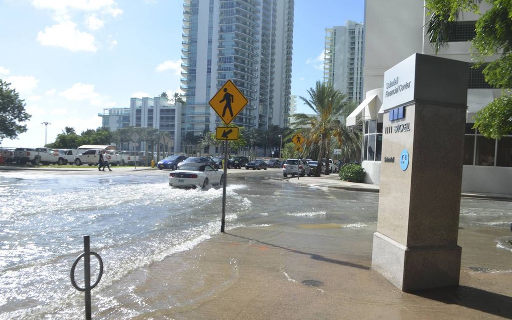 De straten van de Amerikaanse stad Miami liepen in 2016 tijdens springvloed onder water. Met de zeespiegelstijging neemt het risico op ondergelopen straten in kuststeden toe.  beeld Wikimedia, B137