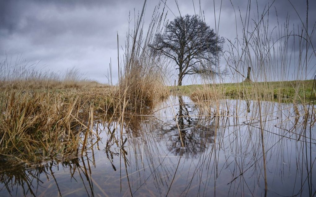 „Zijn we nog bestand tegen de stilte?” Foto: Dwingelderveld. beeld RD, Sjaak Verboom