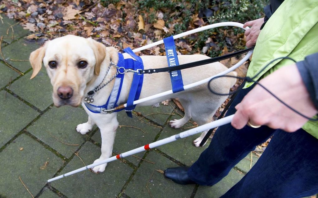 „De organisatie voor blindengeleidehonden (KNGF) krijgt een vergoeding per kilo plastic doppen die zij inzamelt en verkoopt voor recycling.” beeld ANP, Koen Suyk