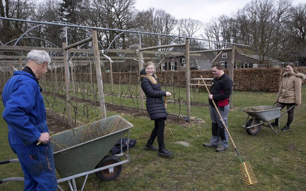 Medewerkers van zorgboerderij De Jachthoeve in Wekerom zijn aan het werk in de fruithof. beeld RD, Anton Dommerholt