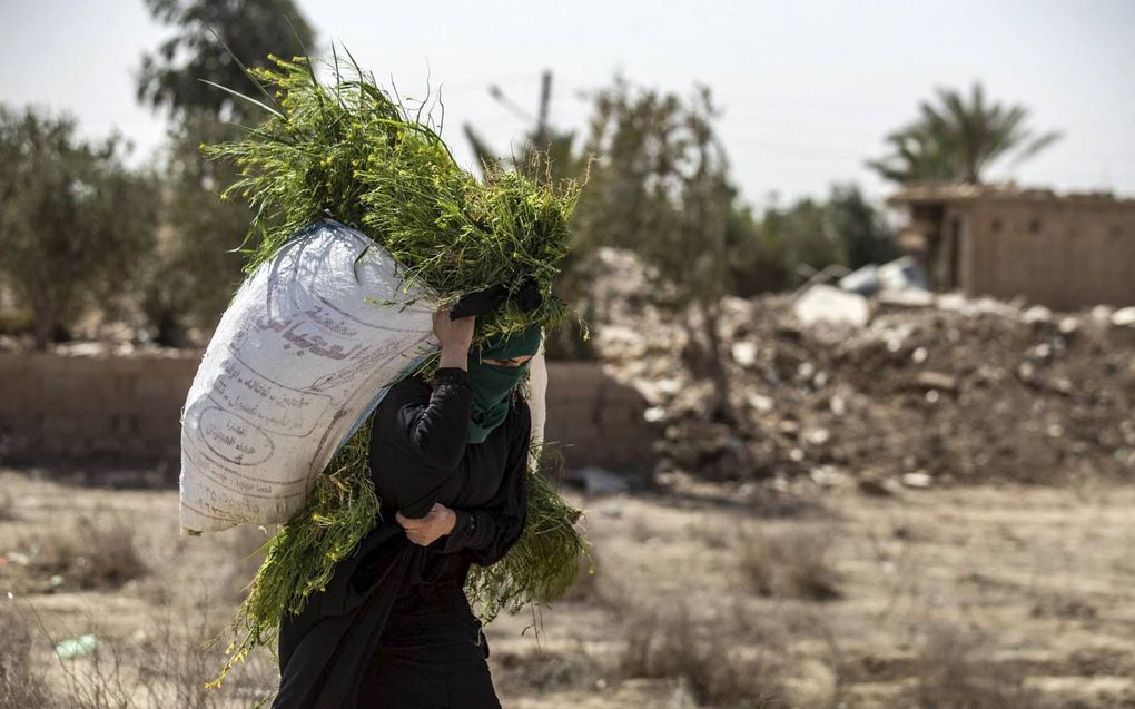 Syrië kampt met voedseltekorten. beeld AFP, Delil Souleiman