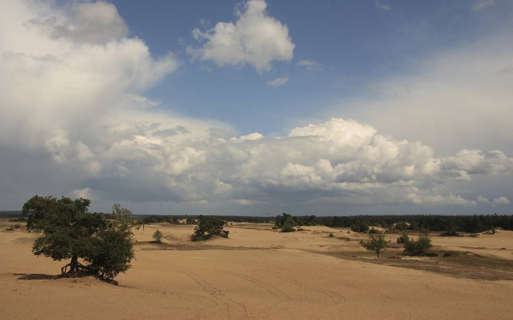 Mogelijke gedeeltelijke afsluiting van het Kootwijkerzand (foto) en andere gebieden zorgt voor onrust onder omwonenden. beeld RD