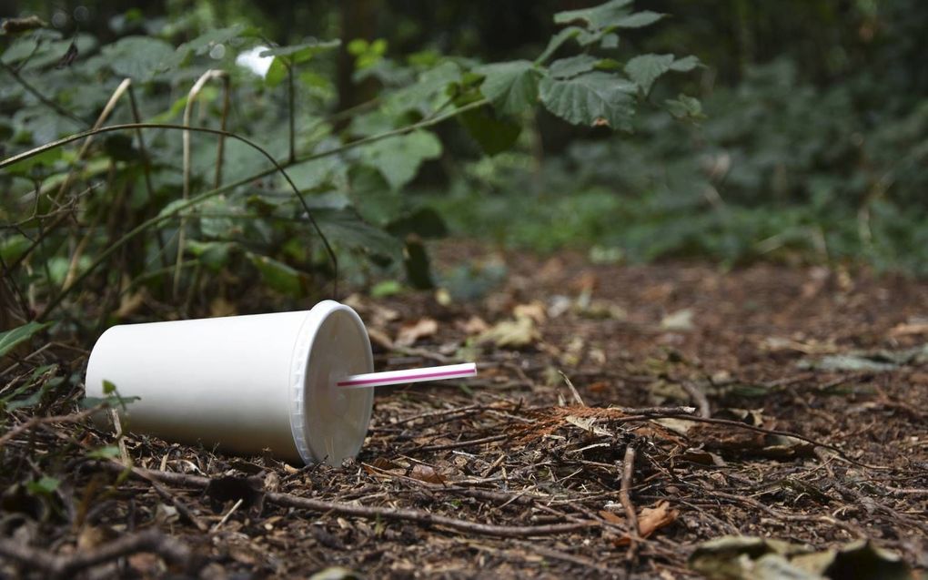 PlasticSoup Foundation becijferde dat per wereldburger sinds 1950 meer dan 1000 kilo plastic is geproduceerd, waarbij 32 procent in het milieu terechtkomt. beeld iStock