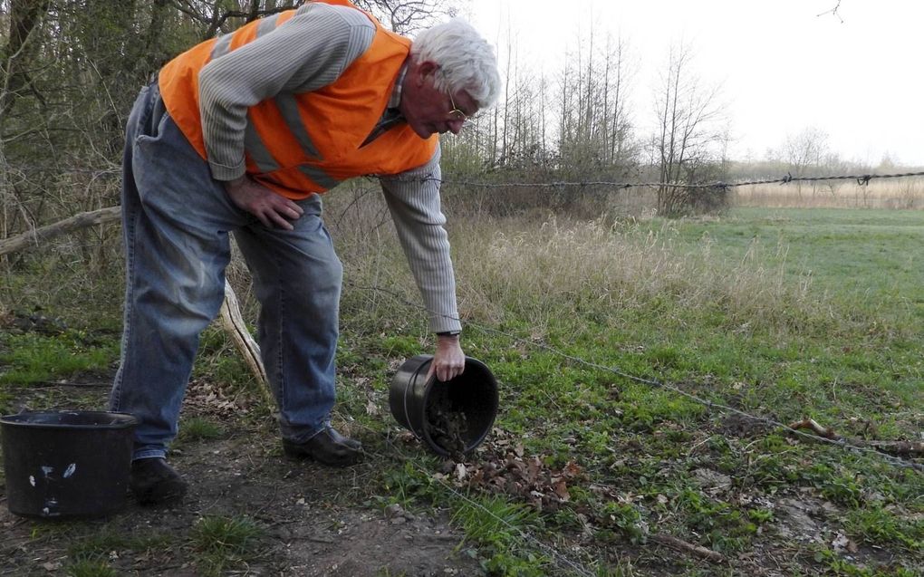 Paul Raven zet de padden uit aan de goede kant van de N225 bij Amerongen. beeld Kees van Reenen