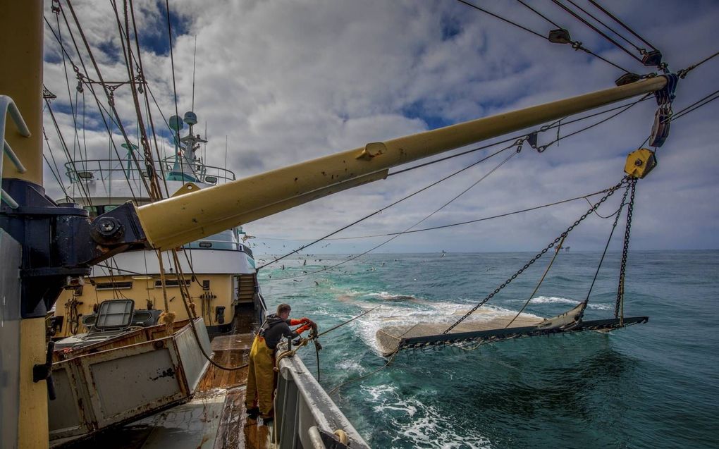 Een pulsvisser is aan het werk op het schip TX-38. beeld ANP, Niels Wenstedt