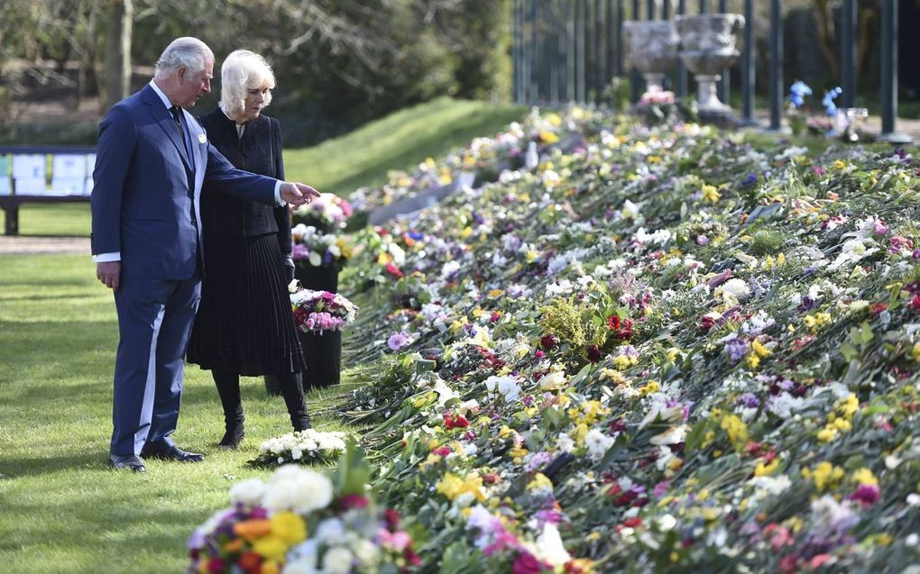 beeld AFP, Jeremy Selwyn