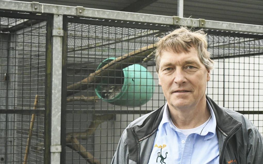 Directeur David van Gennep voor het wasberenverblijf in het opvangcentrum in Almere. beeld Theo Haerkens