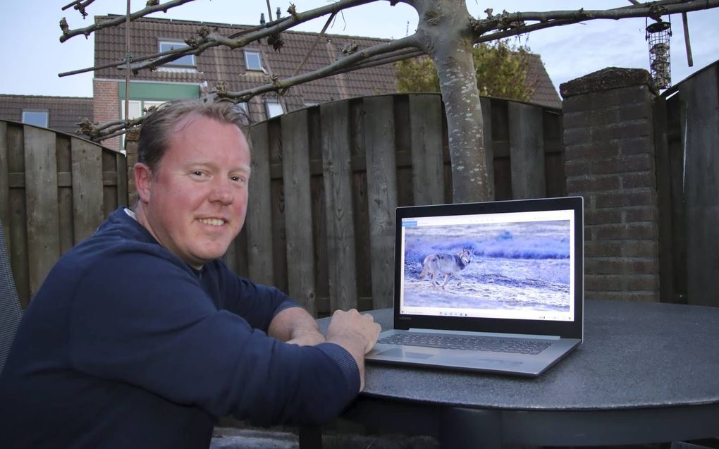 Natuurfotograaf Gerbrand Mulder kreeg onlangs een wolf voor zijn lens. beeld RD