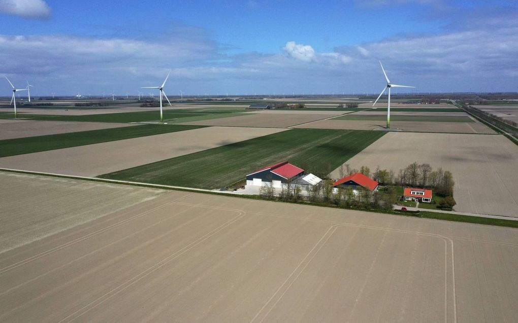 Flevoland moet de komende 30 jaar 1700 hectare nieuw bos aanplanten als onderdeel van een landelijk plan. Dat is geen harde doelstelling, maar een inspanningsverplichting.  beeld VidiPhoto