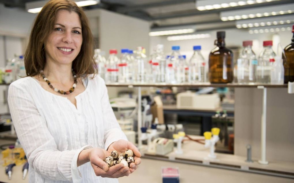 Onderzoeker Vivian Goerlich. beeld Universiteit Utrecht