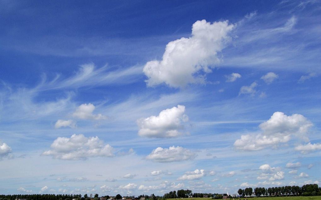 De polder waar het nieuwe dorp moet komen is nu nog grotendeels gevuld met tuinderijen en weilanden. beeld Wikipedia