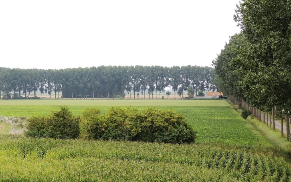 De Hertogin Hedwigepolder in vroeger tijden. Het doorsteken van de dijken en het rooien van 7000 bomen veranderde het vruchtbare akkerbouwgebied in een grote woestijnvlakte, vindt het Zeeuwse oud-Statenlid Johan Robesin. beeld Johan Robesin