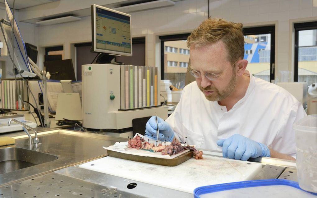 Patholoog dr. Jos Bart van het UMCG. beeld Sjaak Verboom