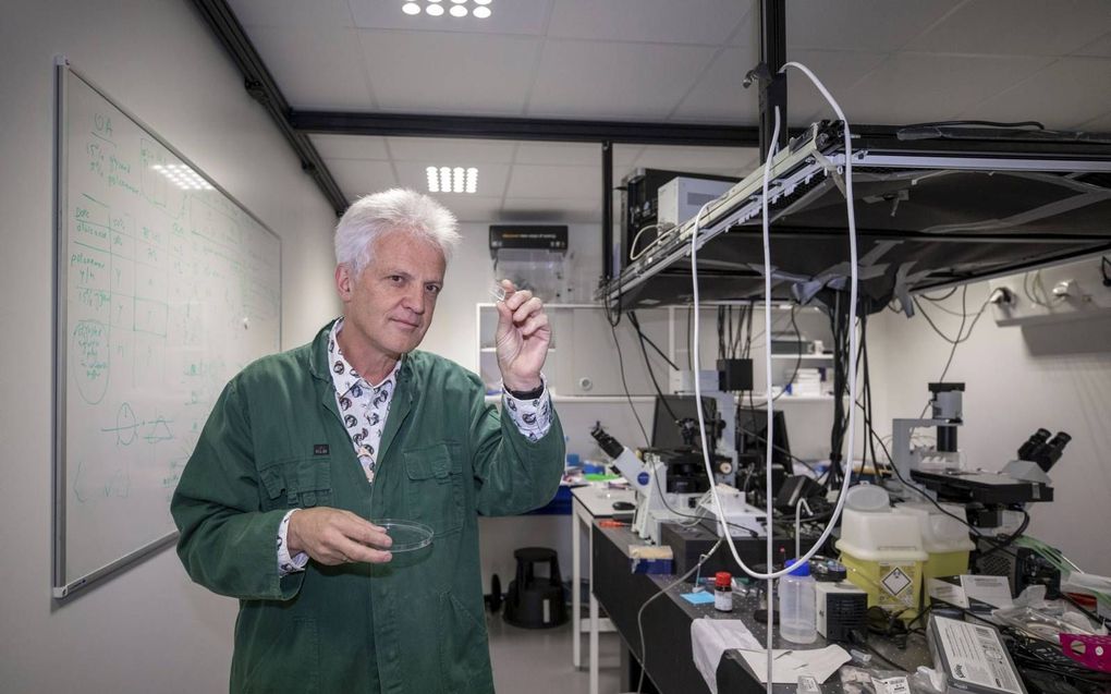 Prof. Cees Dekker in zijn laboratorium van TU Delft. beeld Roel Dijkstra