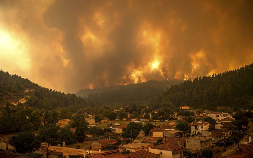 Bosbranden Griekenland. beeld AFP, Angelos Tzortzinis