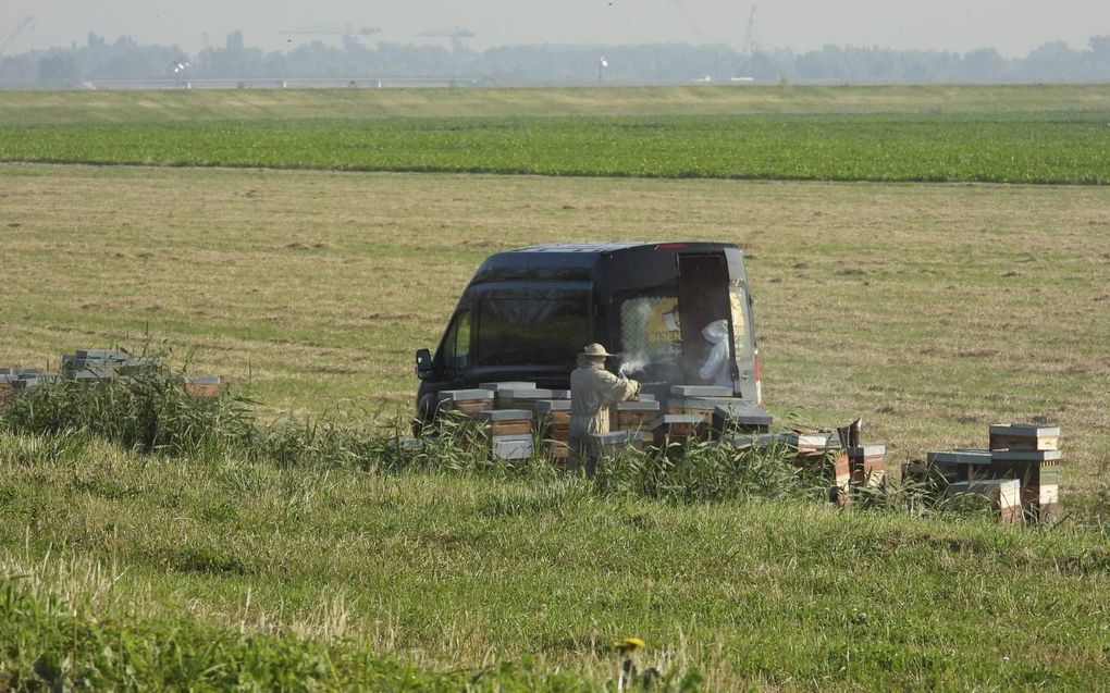 Een bijenhouder in de Biesbosch. In het gebied zoeken tal van imkers een plek. beeld Kees van Reenen