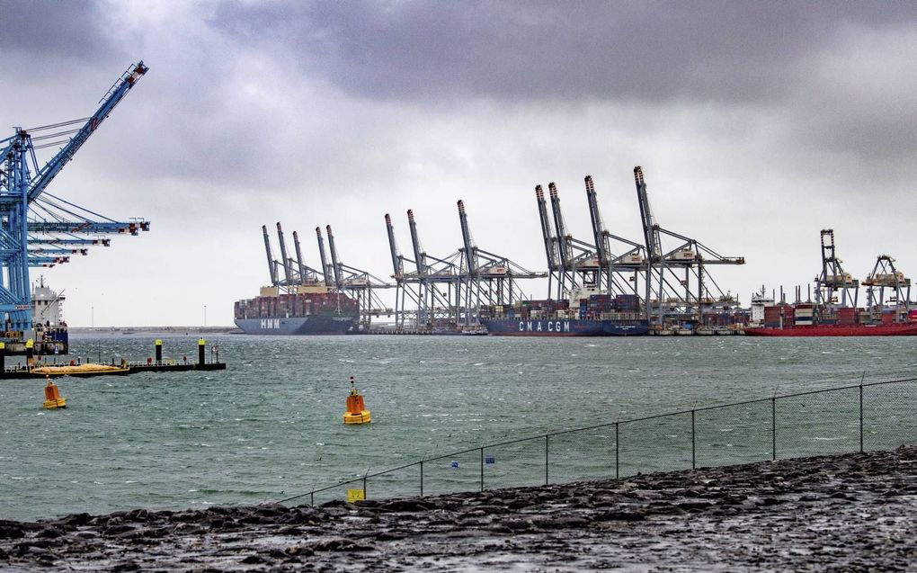 Containerterminal van APM Terminals op de Tweede Maasvlakte bij Rotterdam.  beeld ANP, Robin Utrecht