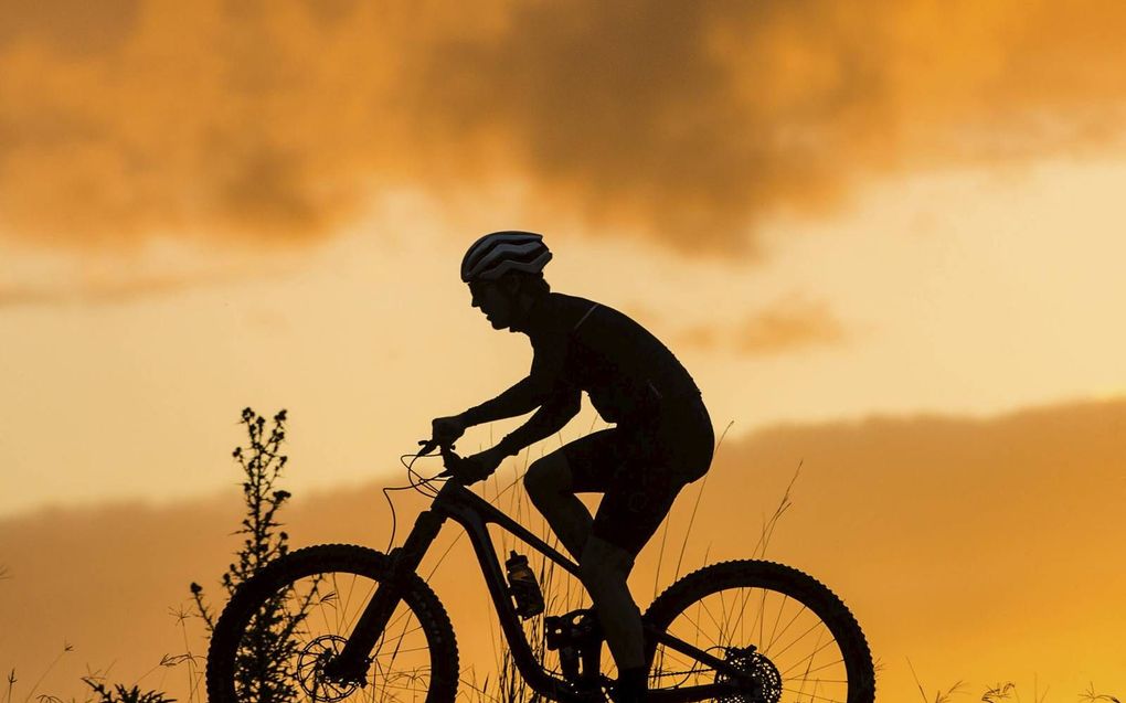 „Mountainbikes zijn al drie, vier maanden uitverkocht.” beeld Giant Benelux