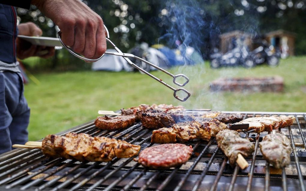 „De mensheid vernietigt zichzelf en maakt de wereld kapot maar moet wél kunnen blijven barbecueën. Die absurditeit, daar word je niet vrolijk van.” beeld ​ANP, Vincent Jannink