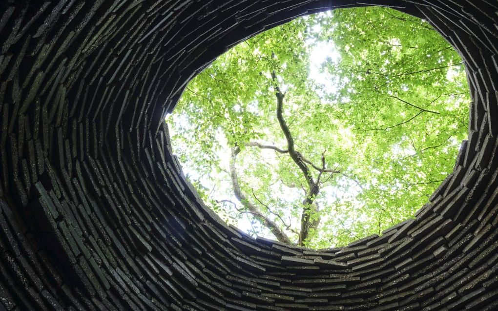 De eerste ecokathedraal in Mildam. beeld Sjaak Verboom