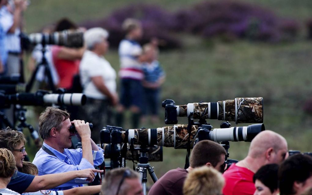 De Hoge Veluwe wordt overspoeld met wildspotters. Er zijn inmiddels veel boetes gegeven aan mensen die de regels overtraden. beeld ANP, Robin Utrecht