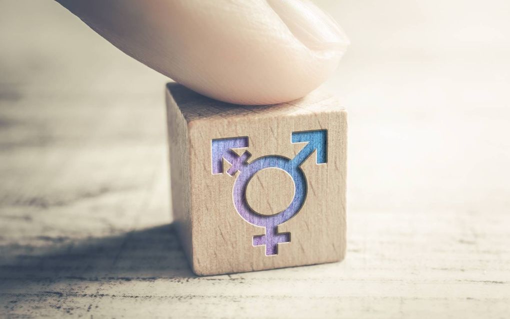 „Dr. Ryan Anderson schrijft vol bewogenheid en feitelijk correct over het verschijnsel transgender.” beeld EPGN