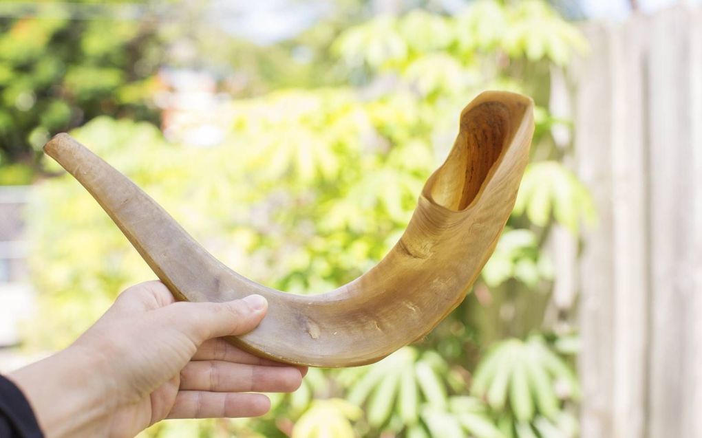 Met een ramshoorn werd op de Grote Verzoendag het jubeljaar aangekondigd. beeld iStock