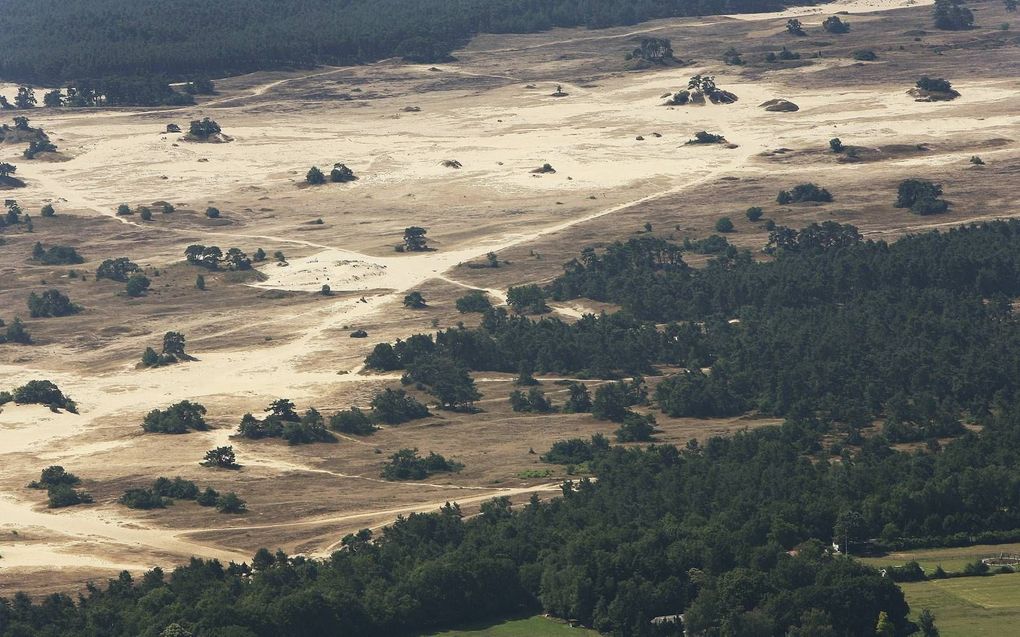 Het Kootwijkerzand (foto) en het Hulshorsterzand worden deels afgesloten voor publiek. beeld RD, Henk Visscher