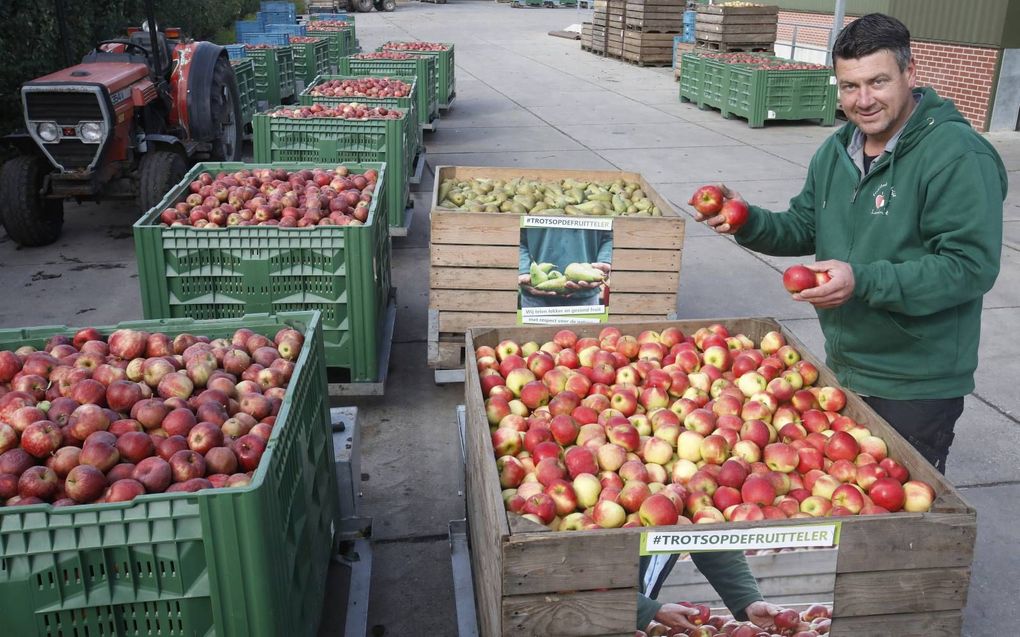 Fruitteler Hans van der Wind uit Werkhoven in de provincie Utrecht zet woensdag zijn fruit klaar voor de Boer & Burger Brunch (BBB) vrijdagmiddag op de Neude in Utrecht. beeld VidiPhoto