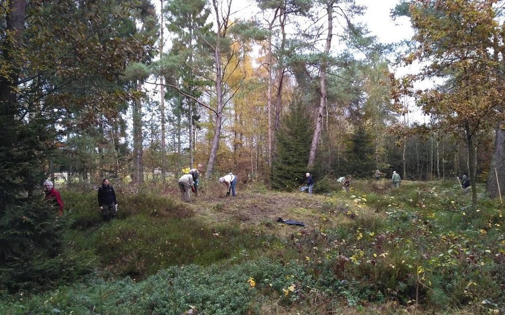 Een grafheuvel in de bossen bij Nunspeet geeft iets prijs van de historie van het gebied. beeld SLG