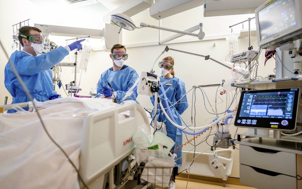 Een speciale corona-ic-afdeling in het Leids Universitair Medisch Centrum. Coronapatiënten op de ic hebben langdurige intensieve begeleiding nodig. beeld ANP, Bart Maat