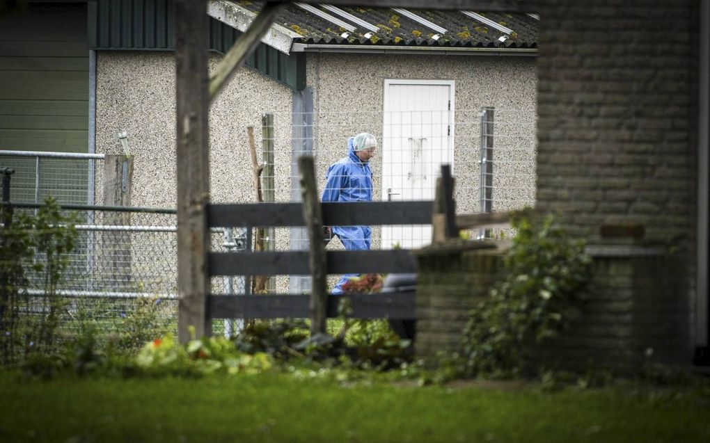 Medewerkers van de Nederlandse Voedsel- en Warenautoriteit bezig met een ruiming.  beeld ANP, Jeroen Jumelet