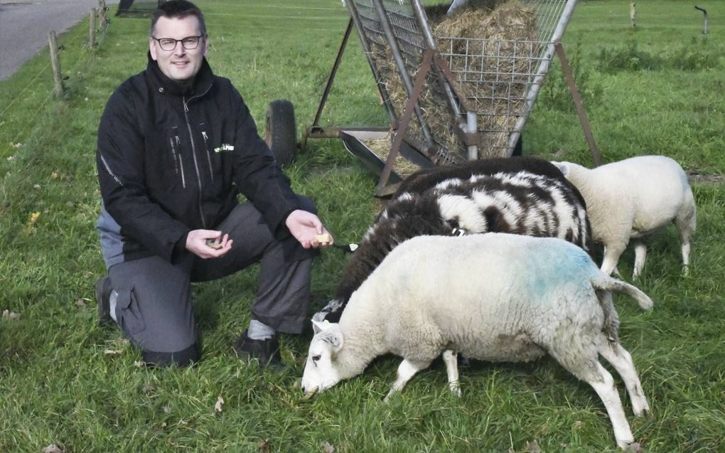 Met zijn idee om wol te gebruiken als bodemverbeteraar won Van Dalfsen een Ermelose duurzaamheidsprijs.  beeld Theo Haerkens