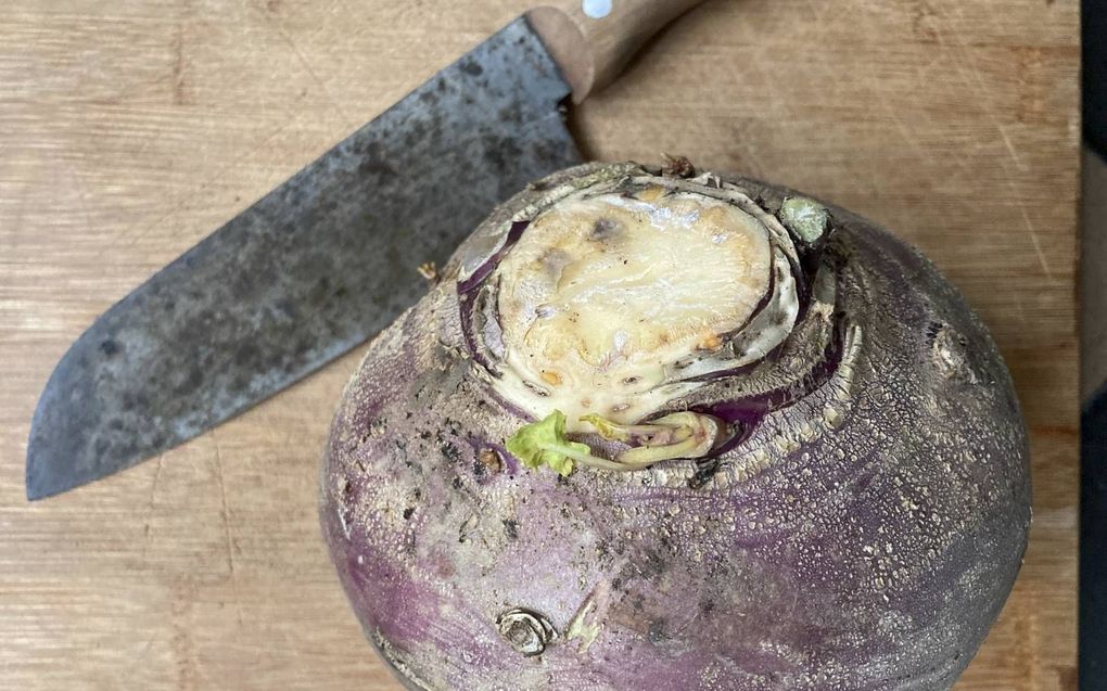 beeld Geertje Bikker-Otten