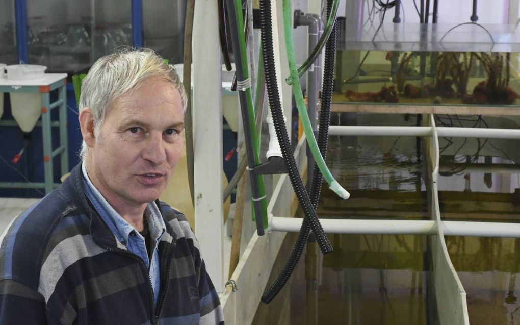 Marien bioloog Michaël Laterveer wil oesterriffen aanleggen bij windparken op zee. beeld Theo Haerkens